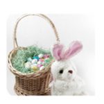 Easter Egg Basket with Bunny
